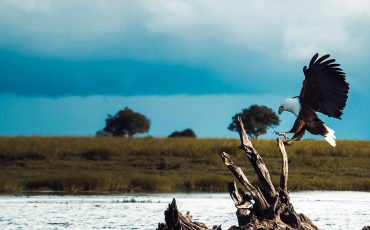 Hoe laat je een project succesvol landen?