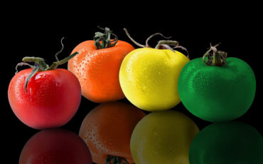 Een nieuw ERP systeem, het blijft toch mensenwerk