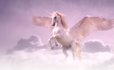 Gene Kim: The Unicorn Project